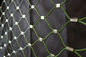 Отсутствие токсического гибкое плетение сетки нержавеющей стали, структура твердого тела сетки веревочки провода поставщик